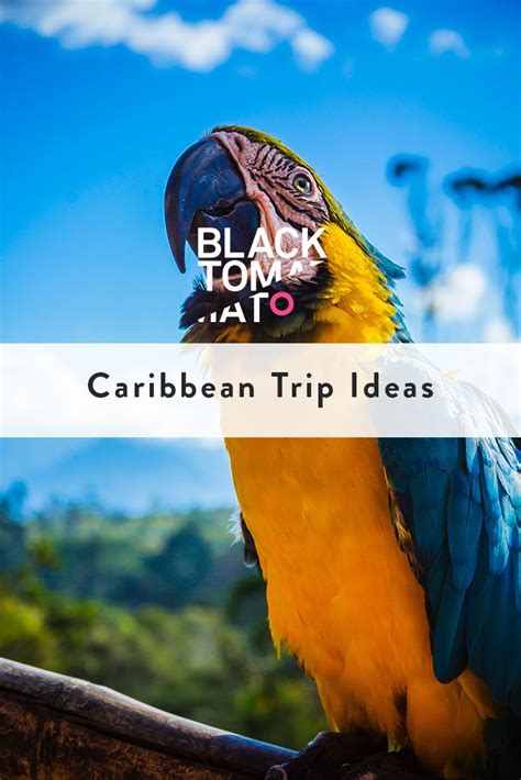 Black Tomato Travel Caribbean Trip Ideas And Trip Itineraries