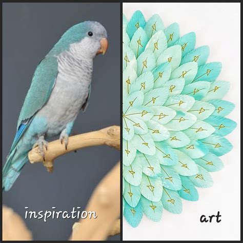 Mini Blue Quaker Parrot Art Lovers Australia