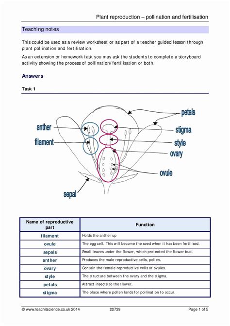 Some of the worksheets displayed are plant reproduction, flowering plant reproduction cloze work, key concept many plants reproduce with flowers and, flower structure and reproduction. Plant Reproduction Worksheet Answers Luxury Plant ...