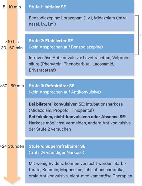 Pharmakotherapie Des Status Epilepticus 05 2020 Heftarchiv Amt