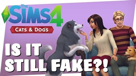 Sims 4 Cats And Dogs Is That Render Still Fake Sims 4 Pets Youtube