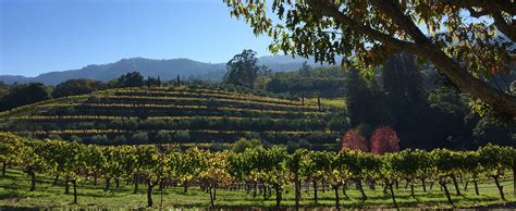 9 Best Sonoma Wineries In Sonoma Valley Body Flows Article
