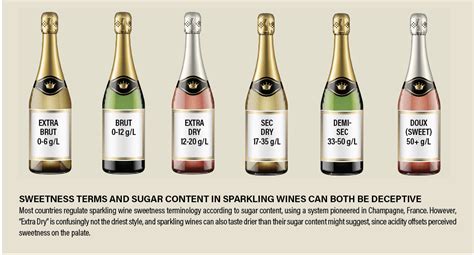 Understanding Sparkling Wine Labels Beverage Dynamics
