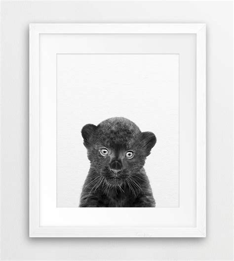Panther Print Black Panther Cub Art Forest Jungle Animals Etsy