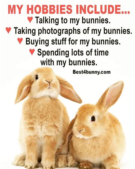 Best4bunny On Instagram “are Your Hobbies Similar
