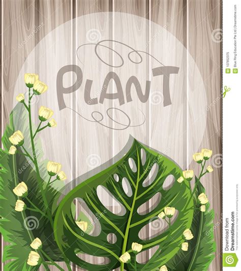 Wooden Background With Green Leaves And White Flowers Stock Vector