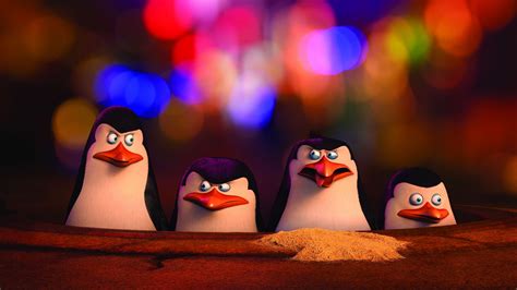 I let them dress up, buys them costumes and help line up some great halloween. Wallpaper Penguins of Madagascar, penguin, cartoon ...
