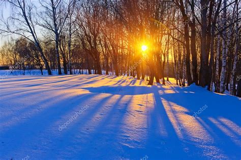Beautiful Sunset In A Winter Forest — Stock Photo