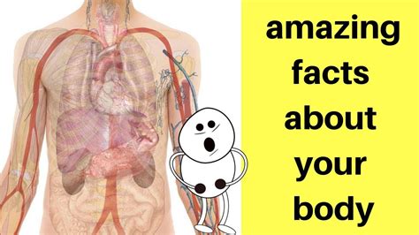 10 Amazing Facts About The Human Body Part 2 Youtube