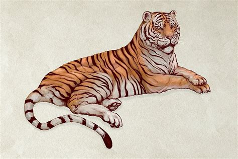 How To Draw A Simple Bengal Tiger Peepsburgh