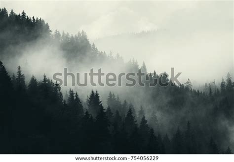 Dark Forest Mountains Foggy Landscape Stock Photo Edit Now 754056229