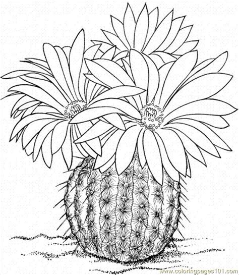 Cactus Flower Coloring Page 243 Popular Svg Design