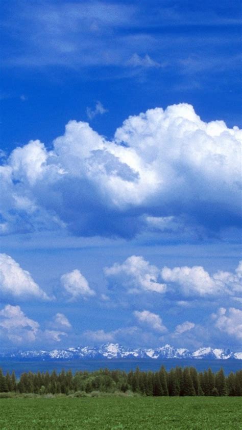 Free Download Clouds And Blue Skies Wallpaper 1600x1200 For Your
