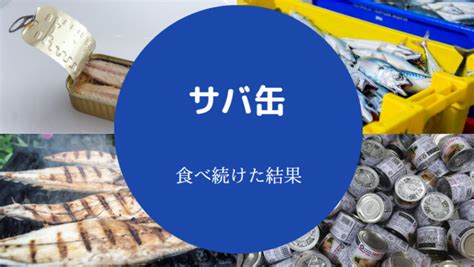 【毎日サバ缶を食べ続けた結果】危険？髪・肌・食べてはいけない？等