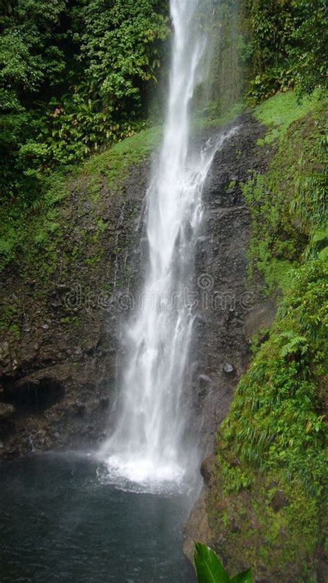 middleham falls in dominica located in rainforest the tallest waterfall in do sponsored