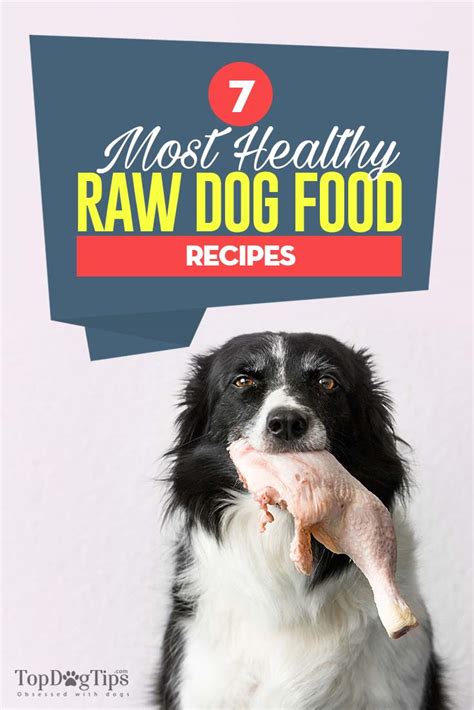 This can be a great overview for beginners. 7 Best Raw Dog Food Recipes (Great for Beginners of Raw ...