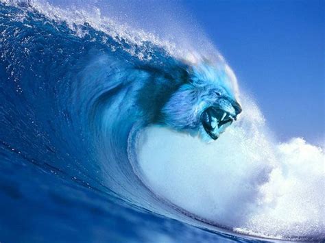 Lion Wave Surfing Waves Waves Sea Waves