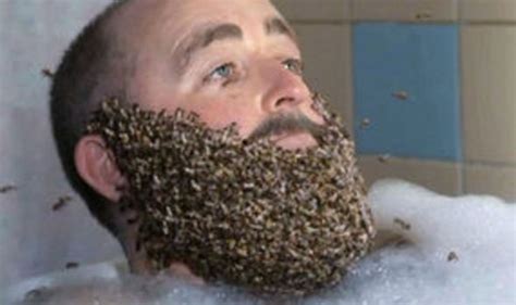 Bee Beard Ad Causes A Buzz Uk News Uk