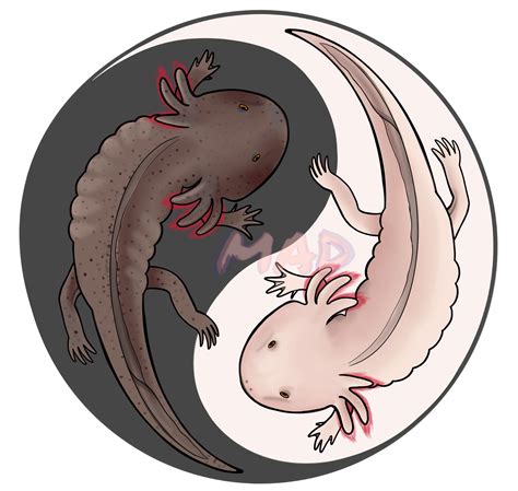 Yin Yang Axolotls Etsy