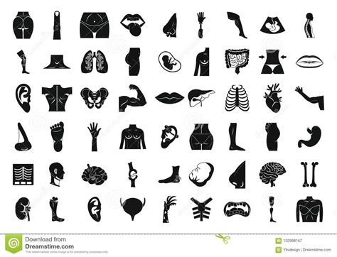 Human Body Icon Set Simple Style Stock Vector Illustration Of Brain