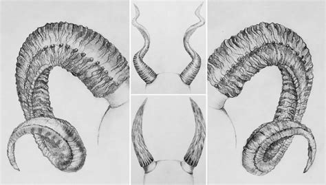 How To Draw Horns Best Pencil Tutorial At Wowpencils