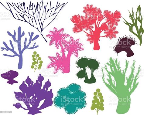 Silhouettes Of Corals Stock Illustration Download Image Now Istock
