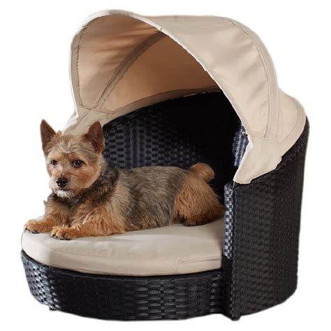 Arbor Outdoor Wicker Pet Bed Outdoor Pet Bed Dog Canopy Bed Dog Pet