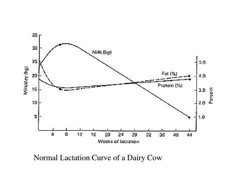 Ppt Anatomy And Lactation Physiology Powerpoint Presentation Free