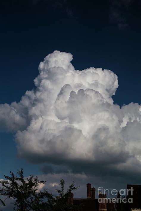 Cumulus Congestus Clouds Photograph By Stephen Burtscience Photo
