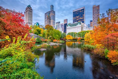Situated at, in, or near the center: Viajar a Nueva York en octubre