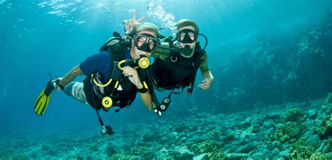 How Much Scuba Diving Cost In Goa Memugaa