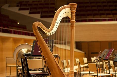 15 Fun And Interesting Facts About The Harp Vlrengbr