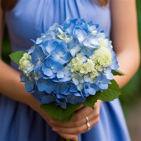 Buy Blue Hydrangea Bridesmaids Bouquets Globalrose