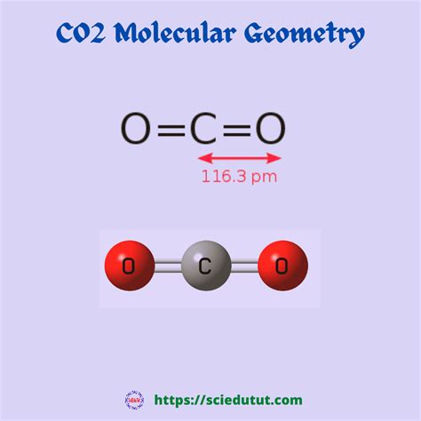 Co2 Molecular Geometry Science Education And Tutorials
