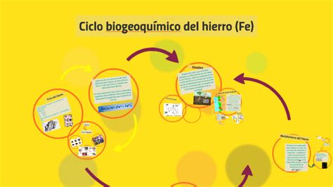 Ciclo Biogeoquímico Del Hierro Fe By Ambar Guerra On Prezi