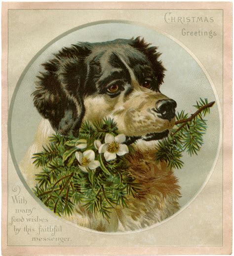 Vintage Christmas Dog Image The Graphics Fairy