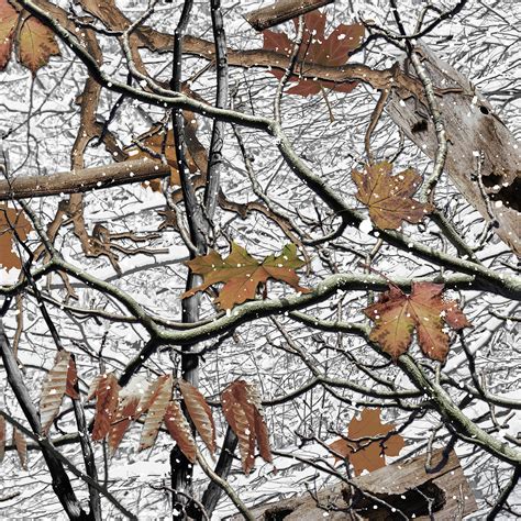 Hunting Camouflage Snow Pattern 2 Digital Art By Jared Davies Pixels