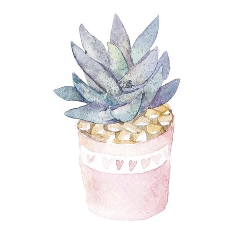 Watercolor Handpainted Succulent Plant In Wooden Pot And Cactus