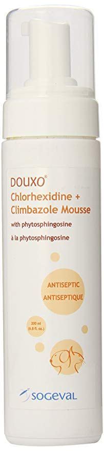 Douxo Antiseptic Chlorhexidine Climbazole Mousse 68 Oz Dog