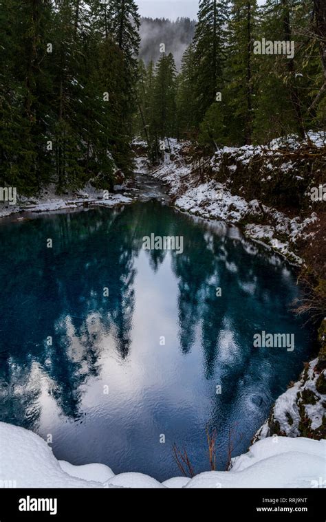 Blue Pool Reflections Along The Mckenzie River In An Oregon Forest