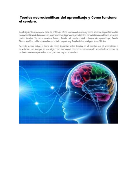 Teorías Neurocientificas Del Aprendizaje Y Como Funciona El Cerebro By