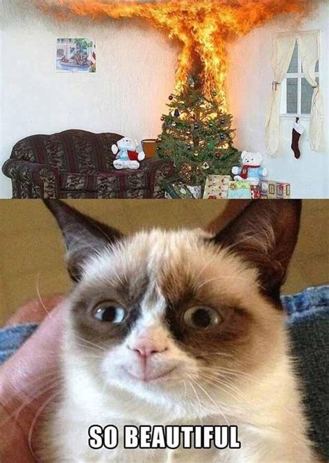 Angry Cat Memes Christmas