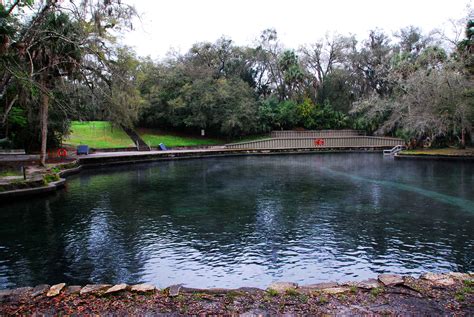 Wekiwa Springs Swim Area Florida State Parks Spring Swim Campsite