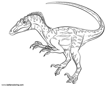 Coloring Pages Velociraptor Blue Jurassic Coloring Pages