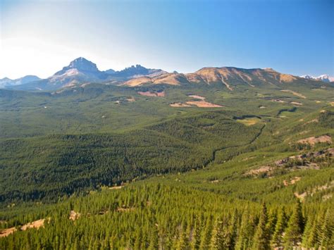 Grassy Mountain Coal Project Under Review - Alberta Wilderness Association