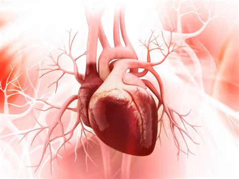 Choroba Niedokrwienna Serca Przyczyny Objawy Diagnoza Leczenie