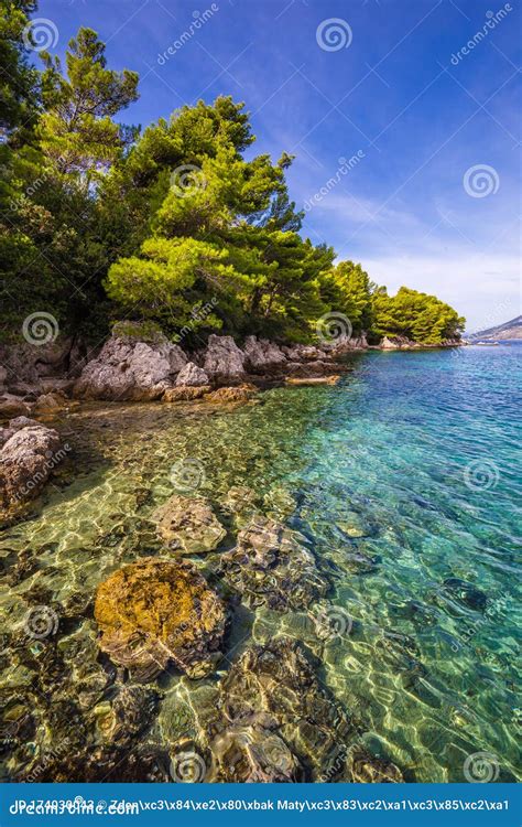 Shore Of Peljesac Peninsula Dalmatia Croatia Stock Image Image Of