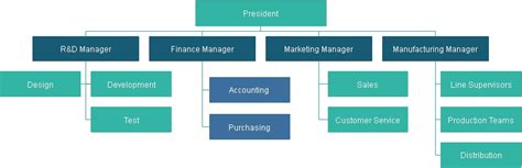 7 Best Organizational Structure Examples 2023