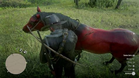 Red Dead Redemption 2 Taming The Red Chestnut Arabian Horse Youtube