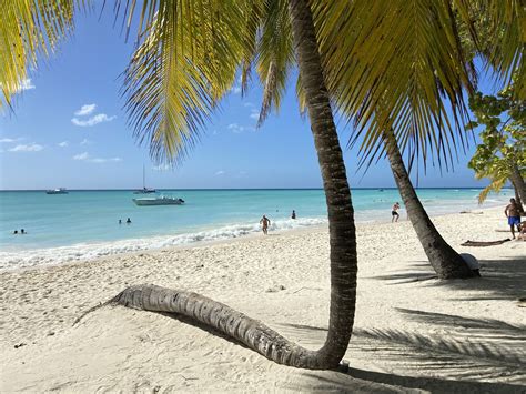 Visitez Lîle De Saona Au Départ De Punta Cana Excursion